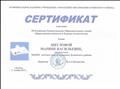 Сертификат участника III Купинских Рождественских Образовательных чтений "Нравственные ценности и будущее человечества"