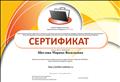 сертификат участника сетевого профессионального педагогического сообщества "NETFOLIO", ведение электронного портфолио педагога