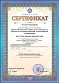 Сертификат участника Всероссийского вебинара "Музейная педагогика в ДОО: организация музея, технология создания коллекций, взаимодействие с родителями"